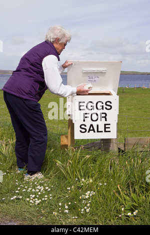 Ältere Frau kaufen Eier zum Verkauf von Honesty Box außerhalb einer Farm Croft. Shetlandinseln, Schottland, Großbritannien Stockfoto