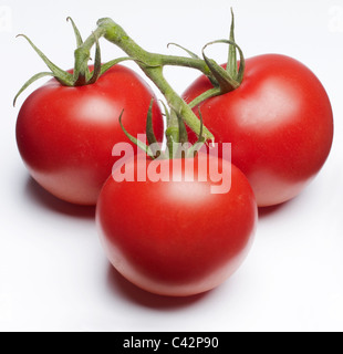 Drei Tomaten auf einem Weinstock auf weißem Hintergrund Stockfoto