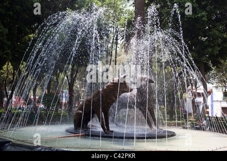 Der Brunnen der Kojotenstatue im Jardín Centenario Coyoacán Mexico City Mexiko Stockfoto