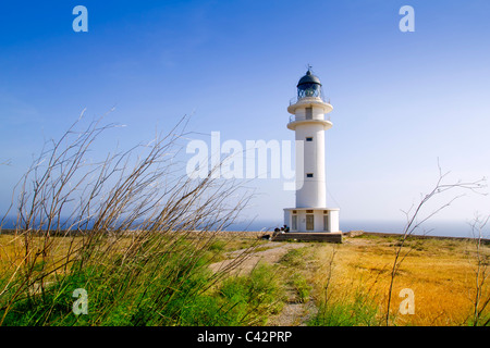 Barbaria Berberia Kap Formentera Leuchtturm goldene Wiese blauer Himmel Stockfoto