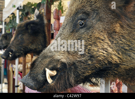 Köpfe der ausgestopften Wildschweine am Imbissstand angezeigt Stockfoto