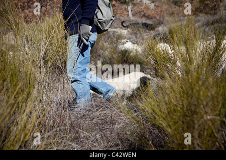 Jean Claude Authier geht über unebenes Gelände mit seinem geschulten Trüffelhund auf der Suche nach wilden Trüffel in den französischen Alpen Stockfoto