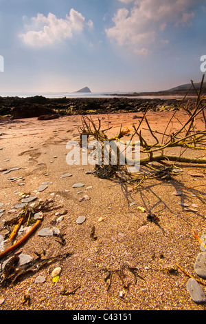 Sonnenaufgang über dem angespült auf Wembury Strand in Devon Stockfoto