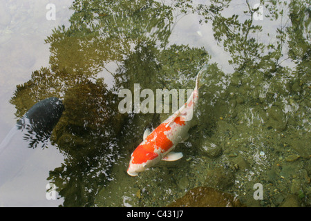 Das Gelände des Ise-Jingu Schrein in Ise Halbinsel, Japan. Stockfoto