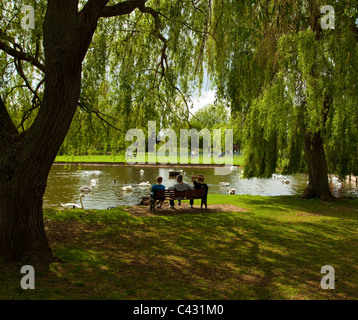 3 Personen entspannen durch das sitzen auf einer Parkbank unter einigen Weiden an einem sonnigen Tag nach der Fütterung die Schwäne und Enten auf dem See. Stockfoto