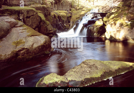 Fluß Avon, Pool unter einem Wasserfall in der Nähe von Avon Dam, Dartmoor, Devon South Brent Stockfoto