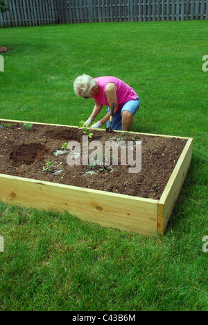 Ältere Frau Pflanzen Garten im Frühling. Stockfoto