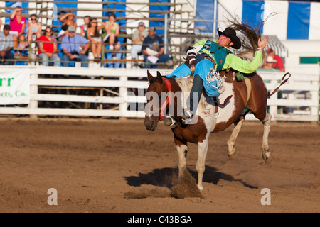 Rodeo im Benton County Fair, Corvallis, Oregon, USA 2009 Stockfoto