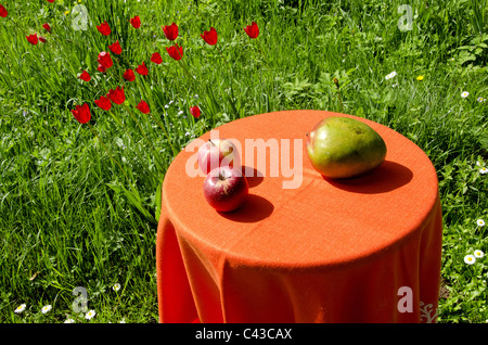 Tisch stehen auf der Wiese mit zwei Äpfeln und einem Peer drauf. Ökologische und gesunde Ernährung. Stockfoto