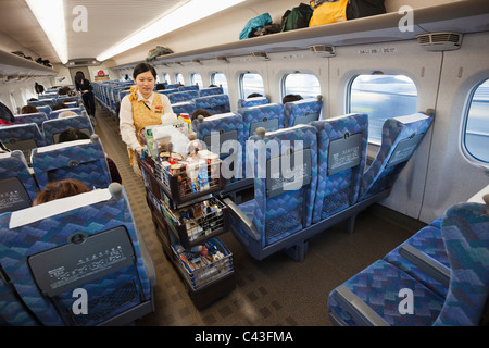 Asien, Japan, Honshu, Hochgeschwindigkeitszug, Shinkansen, High-Speed Rail, JR, Japan Railway, Japan Rail, Japan Rail Pass, Transport, Trans Stockfoto
