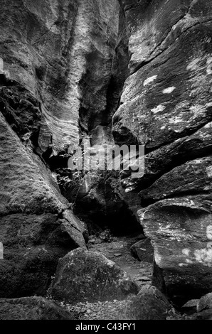 Mountainbike canyon Stockfoto