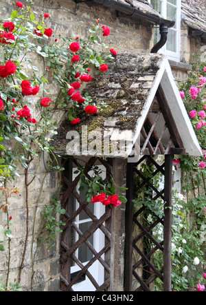 Nahaufnahme von einem Cotswold Steinhaus in Winchcombe mit roten Rosen um die Tür Stockfoto