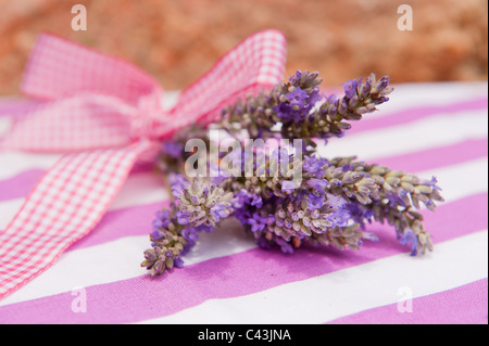 Fröhlicher Strauß Lavendel mit aufgegebenen rosa Schleife Stockfoto