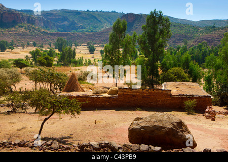 Gerealta, Afrika, Äthiopien, Highland, Dorf, Haus, Haus, Bäume Stockfoto