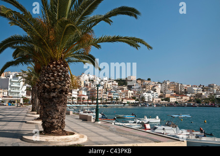 Blick über den Hafen auf Sitia in Nord Ost Kreta, Griechenland. Stockfoto