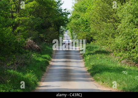 Feldweg in der Nähe von Bridgham, Norfolk. Stockfoto