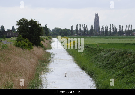 Der Boston Stump, Boston, Lincolnshire, gesehen aus dem Westen entlang der North vierzig Fuß abtropfen lassen. Stockfoto