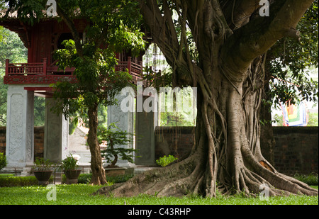 Zen-Garten in The Temple of Literature in Hanoi, Vietnam Stockfoto