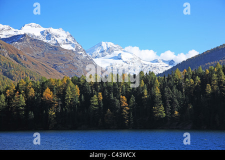 Ravel, Natur, Geografie, Europa, Schweiz, Graubünden, Graubünden, Engadin, Sils, Silsersee See, Schweizer Alpen, Berg, See, Land Stockfoto