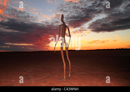 Skulptur von Antony Gormley, innen Australien Ausstellung über Lake Ballard bei Sonnenaufgang, Western Australia Stockfoto