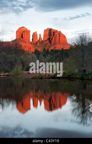 Abendlicht taucht Cathedral Rock widerspiegelt in Oak Creek in Sedona, Arizona. Stockfoto