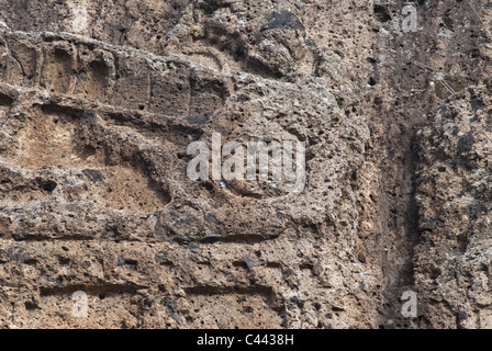 Die archäologische Stätte von Norchia in Viterbo, Italien ist eines der wichtigsten Nekropole von Etrurien Stockfoto