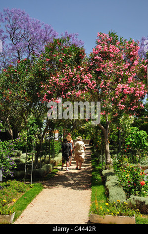 Garten in Burgresten, Tavira, Algarve, Portugal Stockfoto