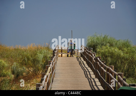 Holzsteg zum Strand, Monte Gordo, Vila Real de Santo António Gemeinde, Region Distrikt Faro, Algarve, Portugal Stockfoto