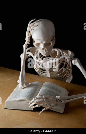 Ein Skelett, ein Buch zu lesen Stockfoto