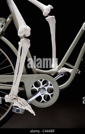 Ein Skelett auf einem Fahrrad, niedrige Abschnitt Stockfoto