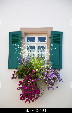 Blumen unter ein Fenster mit Fensterläden Stockfoto