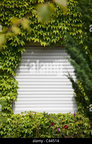 Ein rolling-Shutter umgeben von Efeu Stockfoto