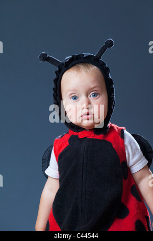 Einen kleinen Jungen in einem Marienkäfer-Kostüm Stockfoto