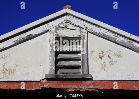 Abblätternde Farbe auf einem alten Schuppen in Auckland, Neuseeland Stockfoto