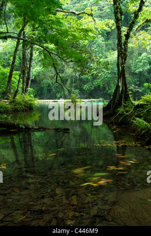 Semuc Champey - umso, Guatemala, Mittelamerika Stockfoto