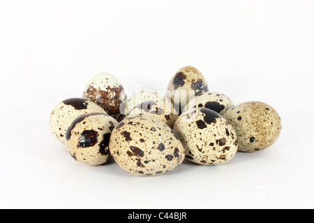 Eiern der japanischen Wachtel isoliert auf weiss Stockfoto