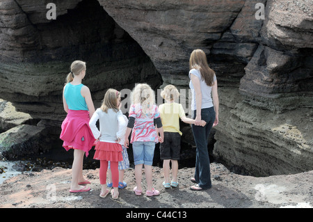 Schützende Mutter mit großen Familie entdecken Sie Höhlen, Felsen, Küstenerosion, South Devon auf der Geopark englische Riviera Devon zeigt, Stockfoto