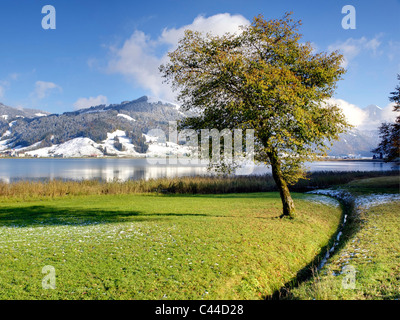 Sihlsee, Kanton Schwyz, Herbst, Schnee, Bach, Schweiz, Wiese, Baum, Berge Stockfoto