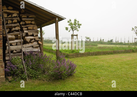 Holzschuppen in einen Garten in Normandie Frankreich bedeckt, an einem regnerischen Tag Stockfoto