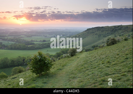 Einen schönen Sonnenaufgang über Ditchling Beacon, South Downs National Park, East Sussex, England, UK Stockfoto