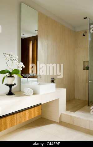 Minimalistische Badezimmer mit begehbarer Dusche, Steinflächen und eingemachte Orchidee Stockfoto