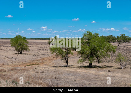 Big Sandy Creek, Sand Creek Massaker National Historic Site, Eads, Colorado. Stockfoto