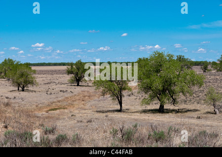 Big Sandy Creek, Sand Creek Massaker National Historic Site, Eads, Colorado. Stockfoto