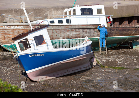 Malerei und Schutz Fischereifahrzeug bei niedrigen Gezeiten Montrose Hafen Scotland UK Stockfoto