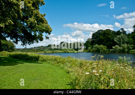 Fluss Tweed Kelso Scottish grenzt an Schottland Stockfoto