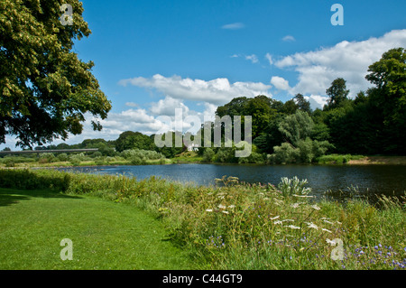 Fluss Tweed Kelso Scottish grenzt an Schottland Stockfoto