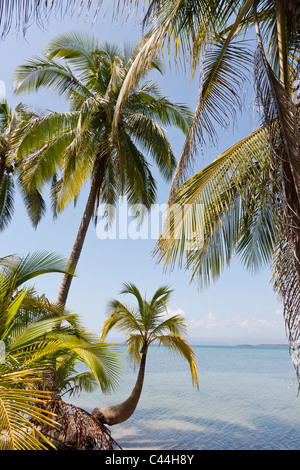 Boca Del Drago Strand, Isla Colon, Bocas Del Toro, Panama Stockfoto