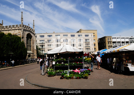 Blume-Stall auf Cambridge Markt, Cambridgeshire, England, UK Stockfoto