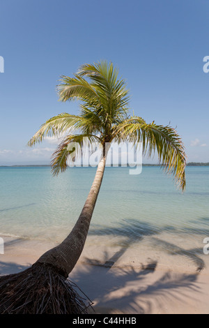 Boca Del Drago Strand, Isla Colon, Bocas Del Toro, Panama Stockfoto