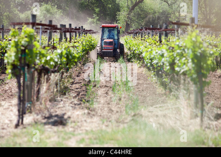 Weinberge werden von einem Traktor im Weinland in Nord-Kalifornien in der Nähe der Stadt Healdsburg in der Nordgrafschaft Sanoma beibehalten. Stockfoto